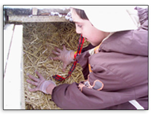 covering the compost