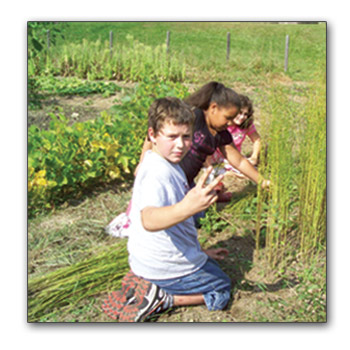 kids gardening at school